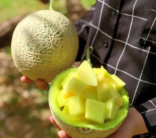 娱乐圈有什么瓜可以吃,揭秘明星幕后故事与精彩瞬间  第2张 娱乐圈有什么瓜可以吃,揭秘明星幕后故事与精彩瞬间  第2张