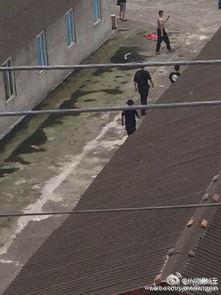 什邡市工地视频爆料,安全隐患引人关注  第3张 什邡市工地视频爆料,安全隐患引人关注  第3张