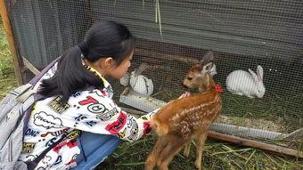 狍子先生爆料视频播放在线观看,独家解析幕后真相  第3张 狍子先生爆料视频播放在线观看,独家解析幕后真相  第3张