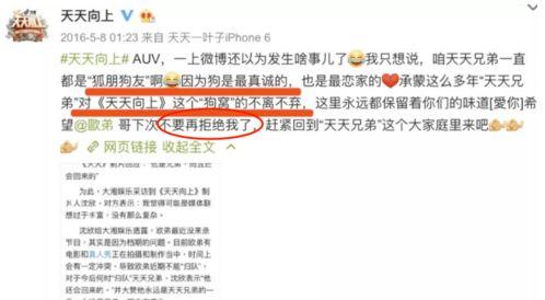 娱乐圈搜索爆料,明星私生活大揭秘!  第2张 娱乐圈搜索爆料,明星私生活大揭秘!  第2张