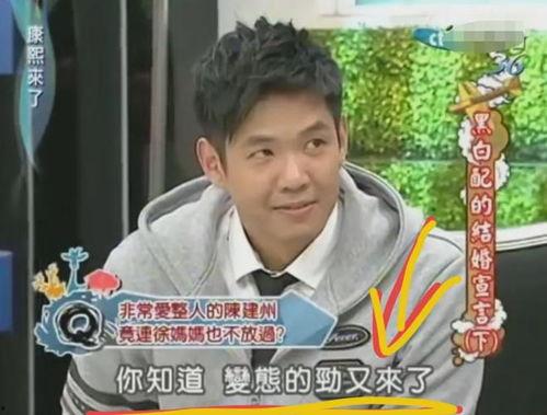 陈建州当众爆料视频,揭秘娱乐圈背后真相  第3张 陈建州当众爆料视频,揭秘娱乐圈背后真相  第3张