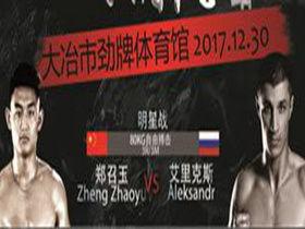 谁要爆料郑召玉的视频大全,真相与争议全解析  第2张 谁要爆料郑召玉的视频大全,真相与争议全解析  第2张