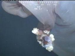 妖怪最新爆料新闻视频,神秘视频揭秘奇幻世界真相  第3张 妖怪最新爆料新闻视频,神秘视频揭秘奇幻世界真相  第3张