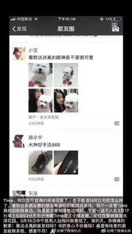 南宁爆料网友是谁啊视频,视频背后的神秘人物  第2张 南宁爆料网友是谁啊视频,视频背后的神秘人物  第2张